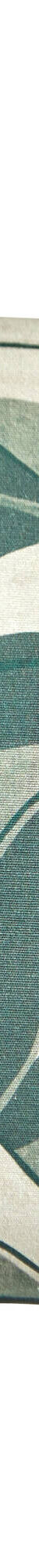 Housse de coussin imprimé feuillage - lot de 2 (vert) Housse de coussin imprimé feuillage - lot de 2 (vert)